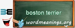 WordMeaning blackboard for boston terrier
